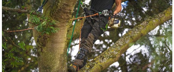 How to pick the right Arbortec chainsaw trousers