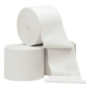 Toilet Rolls 2Ply Coreless White Paper 