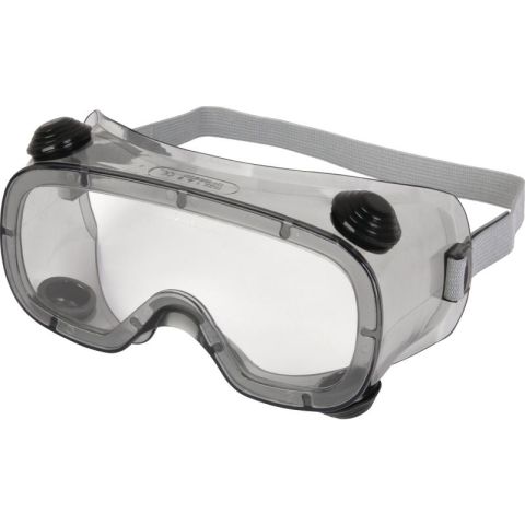 Delta Plus Ruiz1 Essential PVC Safety Goggles 