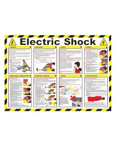 Allsigns FIP3 Laminated Electric Shock Poster