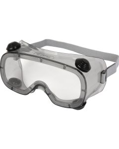 Delta Plus Ruiz1 Essential PVC Safety Goggles 