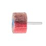 Pferd 44411554 Co-Cool Ceramic Oxide Mounted Flap Wheel 40G 5030/6mm  