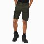 Regatta TRJ388 Heroic Cargo Shorts
