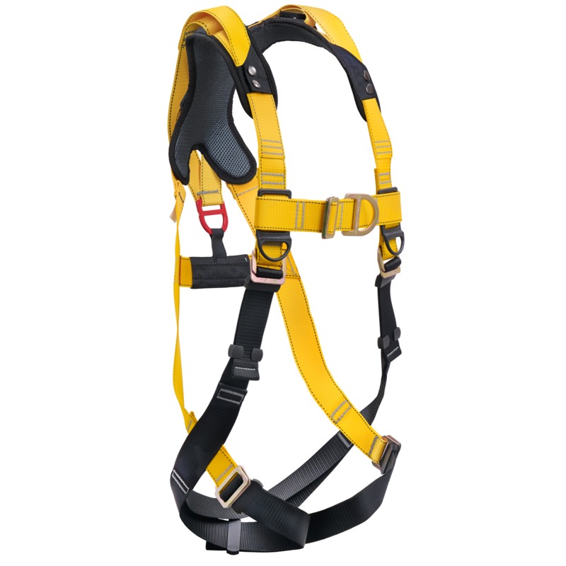Yellow/Black
